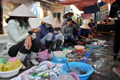 Bán bảo hiểm hết hạn cho tiểu thương?